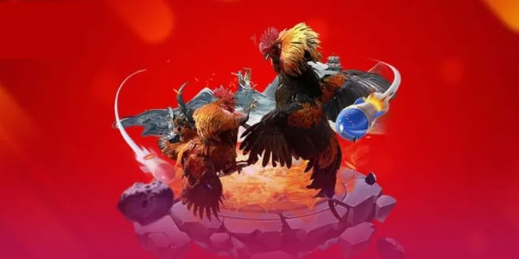 Tham Gia Đá Gà 3D Hi88 Ngay Hôm Nay Để Thắng Lớn