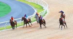 dua ngua 1 2 20251115 135903 2